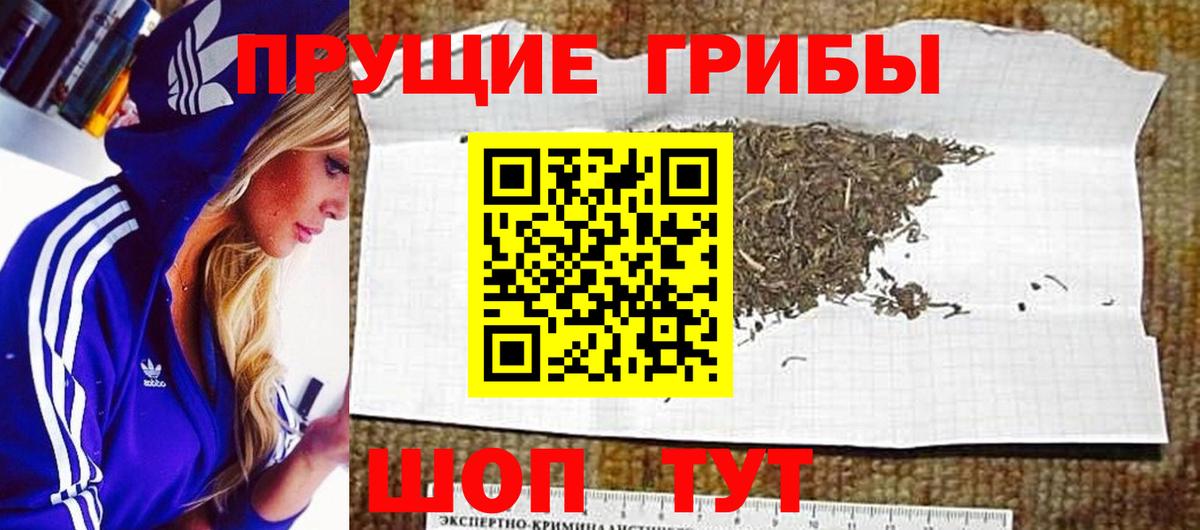 Галлюциногенные грибы MAGIC MUSHROOMS  Вход с VPN  Ангарск 